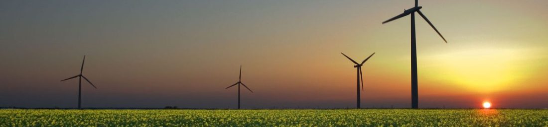 cropped-image-principale